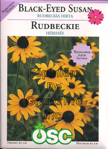 Semences OSC - Rudbeckie Hérissée