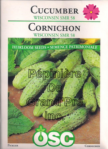 Semences OSC - Cornichon Wisconsin SMR 58