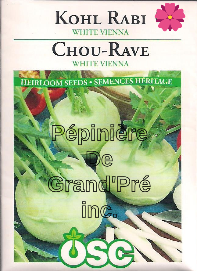 Semences OSC - Chou-rave White Vienna
