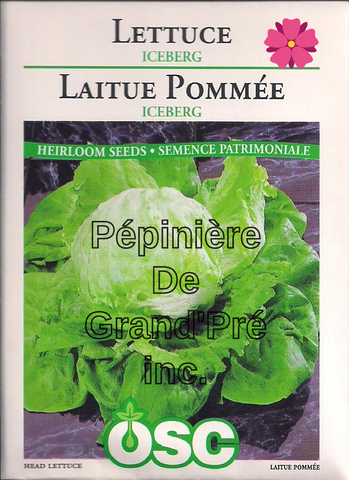 Semences OSC - Laitue Pommée Iceberg