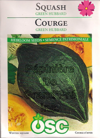 Semences OSC - Courge Green Hubbard