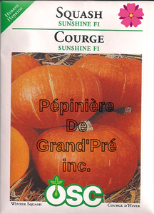 Semences OSC - Courge Sunshine F1
