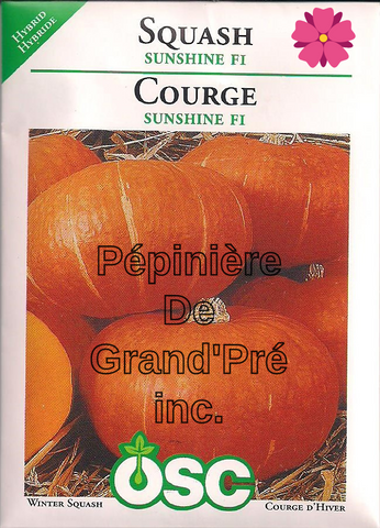 Semences OSC - Courge Sunshine F1