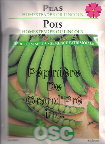 Semences OSC - Pois Homesteader ou Lincoln