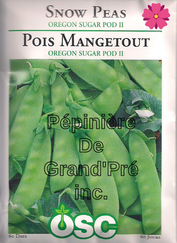 Semences OSC - Pois Mangetout Oregon Sugar Pod II