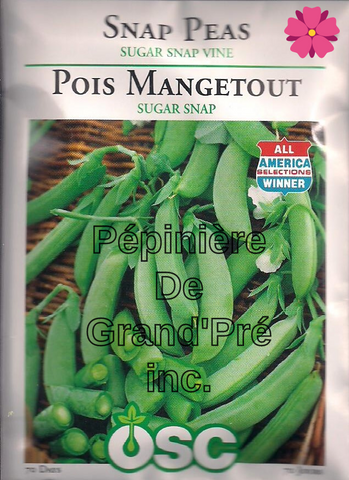 Semences OSC - Pois Mangetout Sugar Snap