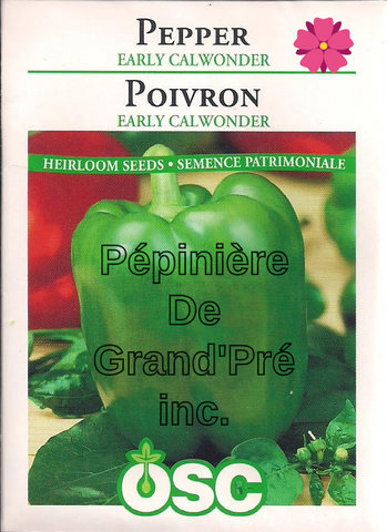 Semences OSC - Poivron Early Calwonder
