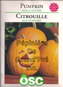 Semences OSC - Citrouille Jack O'Lantern