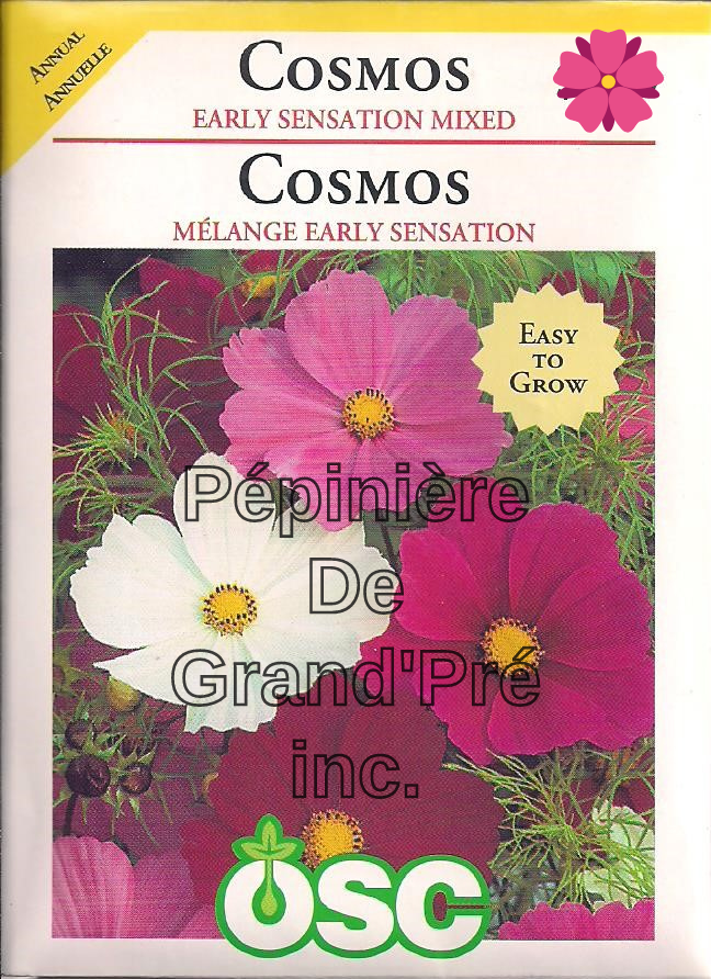 Semences OSC - Cosmos - Mélange Early Sensation