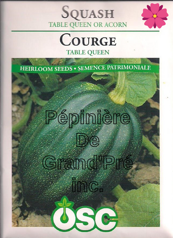 Semences OSC - Courge Table Queen