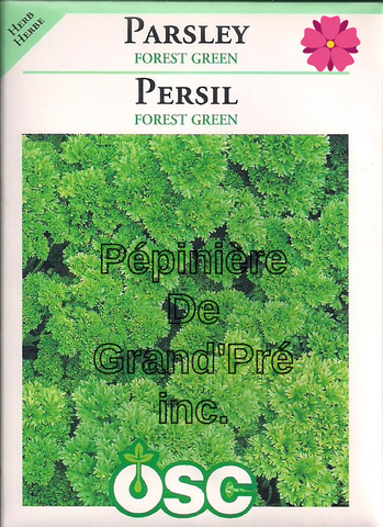 Semences OSC - Persil Forest Green