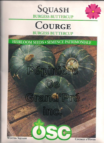 Semences OSC - Courge Burgess Buttercup