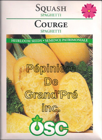 Semences OSC - Courge Spaghetti