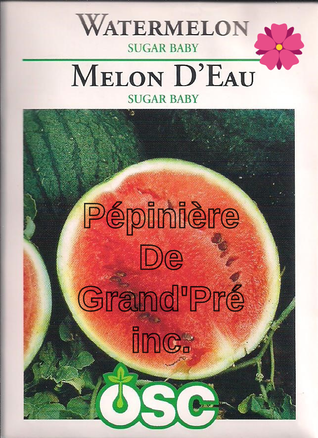 Semences OSC - Melon d'eau Sugar Baby