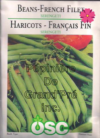 Semences OSC - Haricot-Français Fin Serengeti