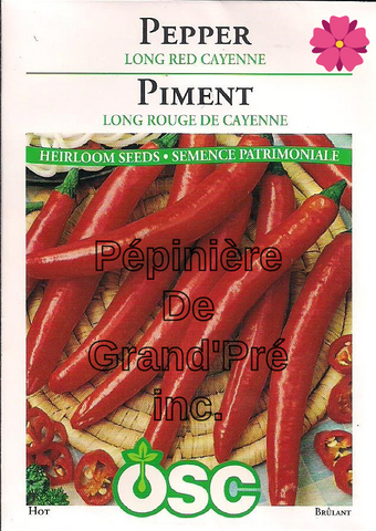 Semences OSC - Piment Long Rouge de Cayenne