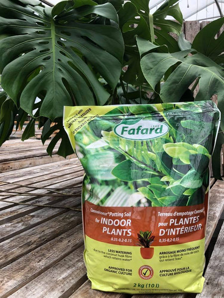 Terreau d'empotage Connaisseur pour PLANTES D'INTÉRIEUR